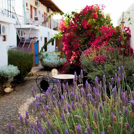 Divina Presencia-2
