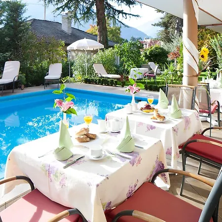 Hotel Aster-3