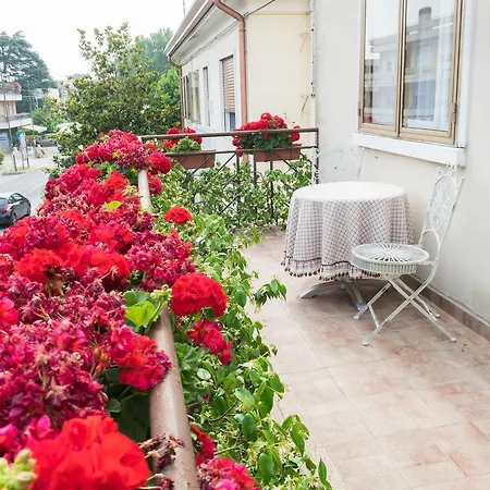 B&B Pereuka-2
