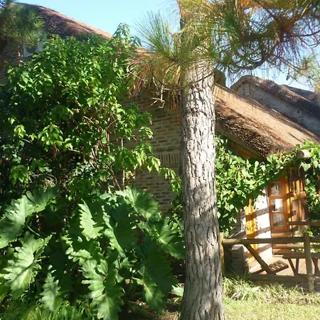 Cabañas del Uru-3