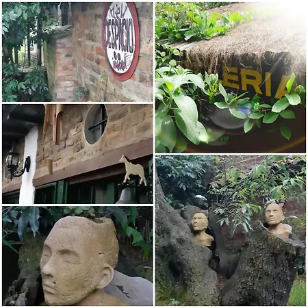 Cedron Hostel-3