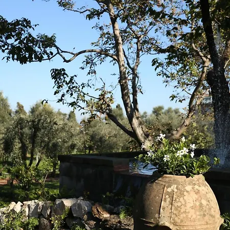 Villa Zagara - La Serra-2