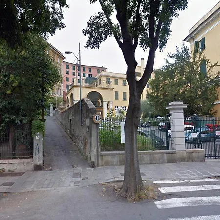 Piume Verdi-3