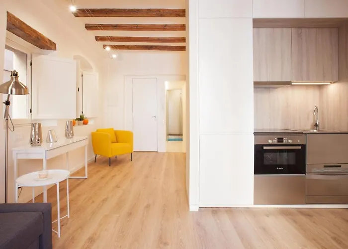 Apartamento Alsina · Historical center - Barrio Gótico Barcelona