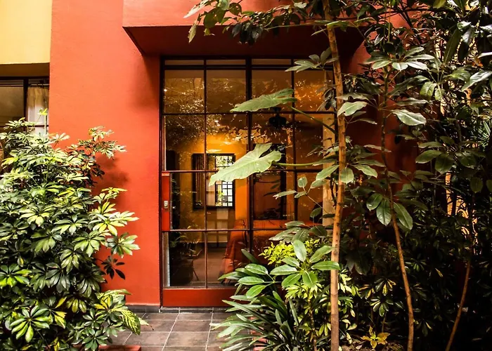 Bed and Breakfast The Red Tree House México DF