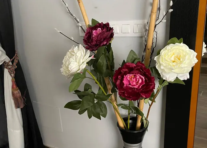 Hostal Corazon De Madrid 1