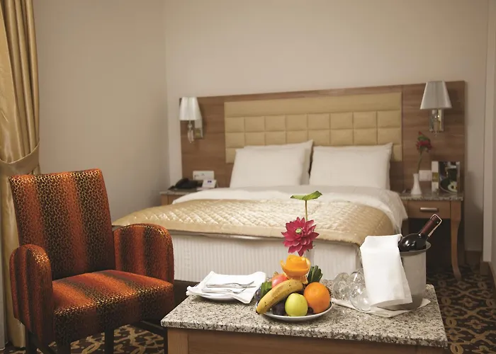 The City Hotel Provincia di Provincia di Istanbul