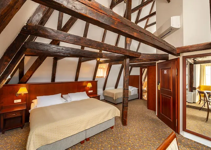 Hotel Cerny Slon Praga