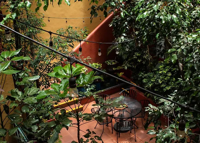 Bed and Breakfast The Red Tree House México DF