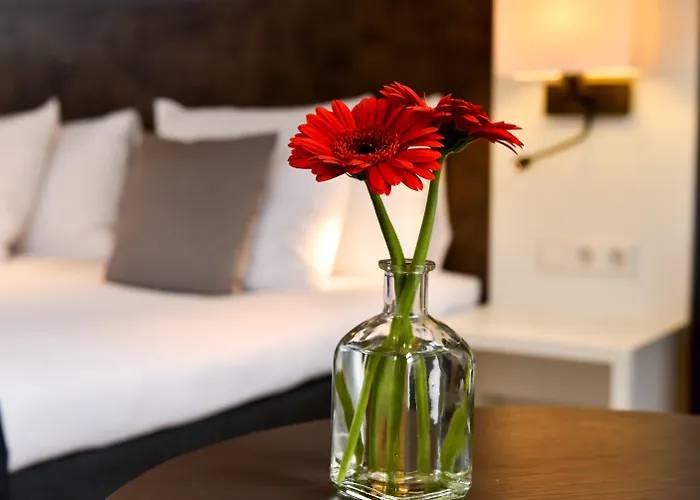 Hotel Amsterdam De Roode Leeuw