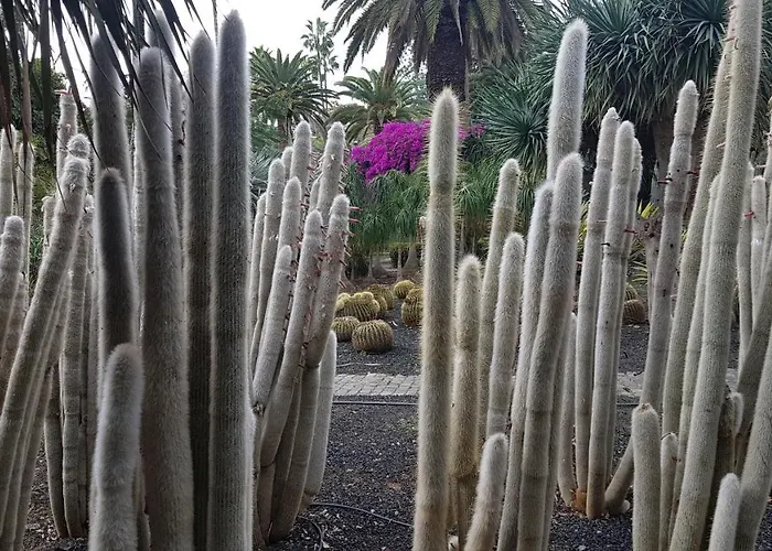 Hotel Casa Tortuga Santa Cruz de Tenerife