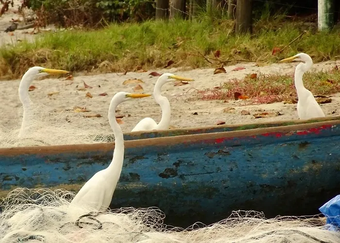 Canto dos Pássaros Suítes Ubatuba