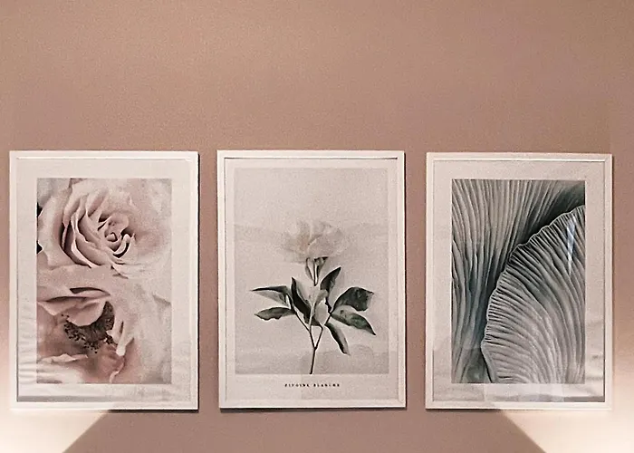 Novaroma By Local Domus