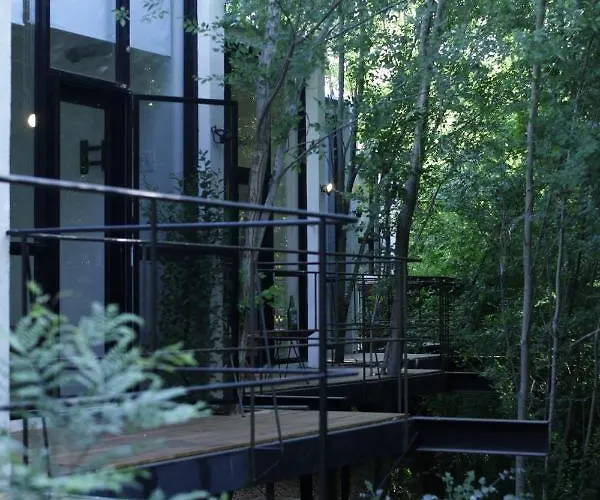 Ojala Suites Santa Rosa de Calamuchita