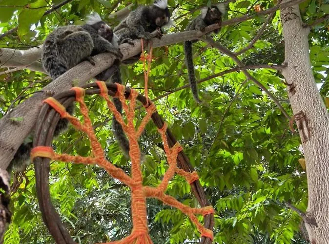 Espaco Jardim Secreto Hospedaria João Pessoa