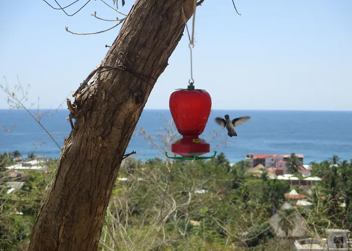 Bed and Breakfast Casa Biulú Zipolite
