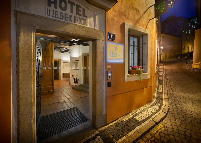 Hotel At The Green Grape Praga