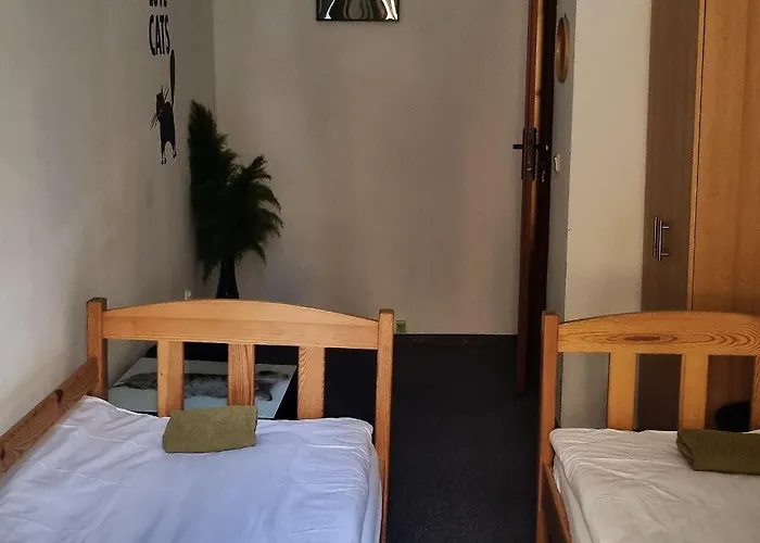Green Cat Rooms Cracovia