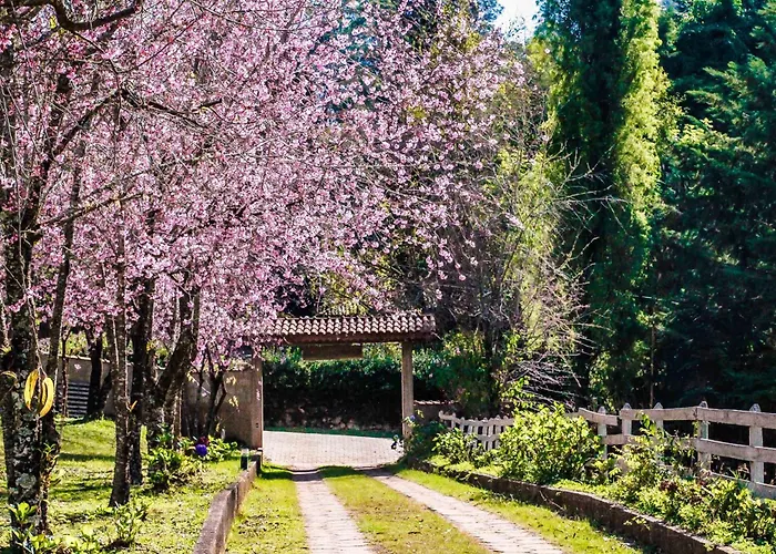 Pousada Das Flores Gonçalves