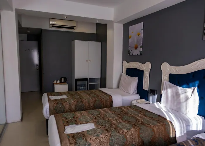 Albatros Hagia Sophia Hotel Provincia di Provincia di Istanbul