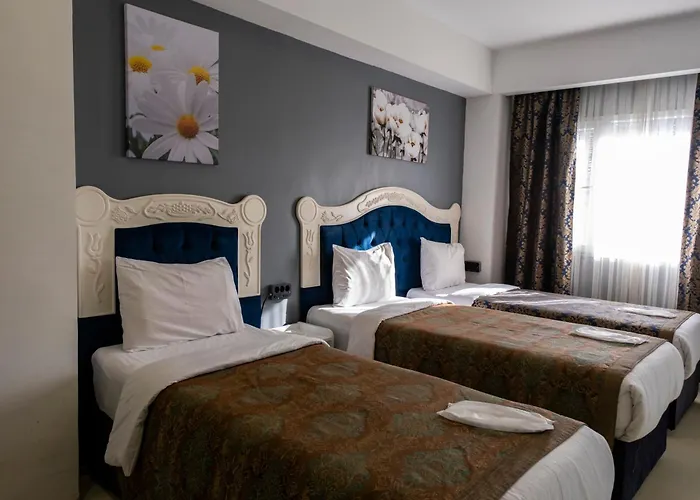 Albatros Hagia Sophia Hotel Provincia di Provincia di Istanbul