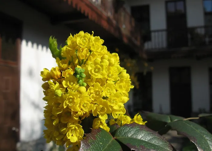 Globtroter Guest House Cracovia