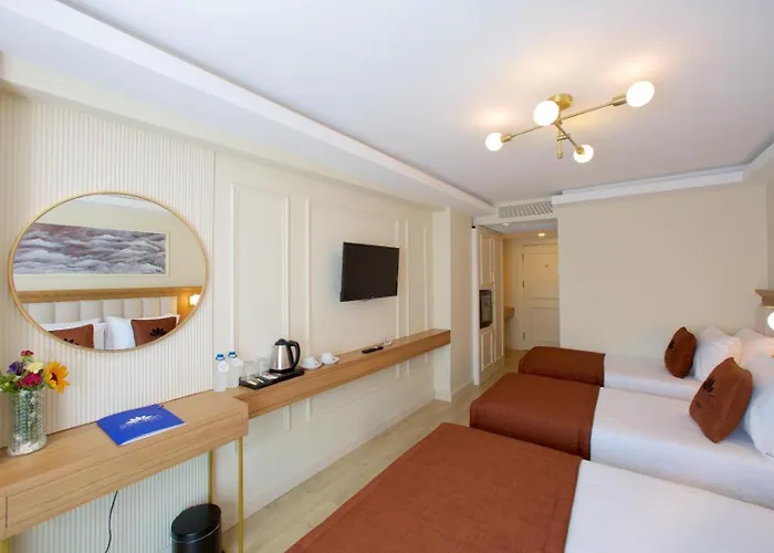 New Florenta Hotel Provincia di Provincia di Istanbul
