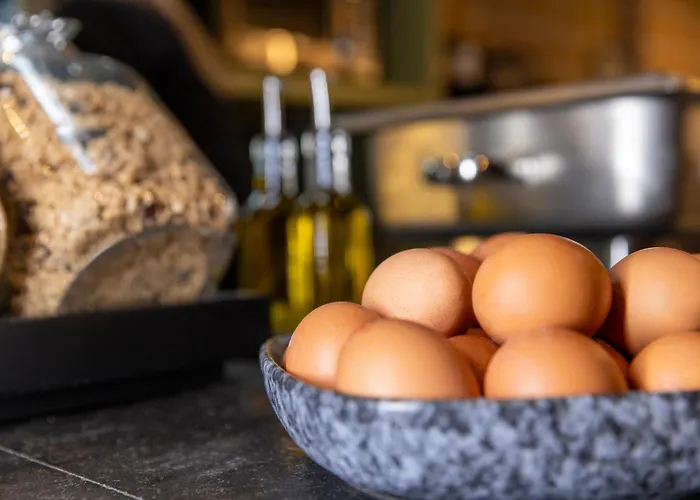 Tourist Inn One Amesterdão