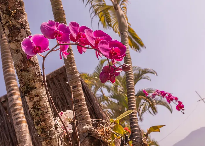 Pousada Bonns Ventos Ilhabela