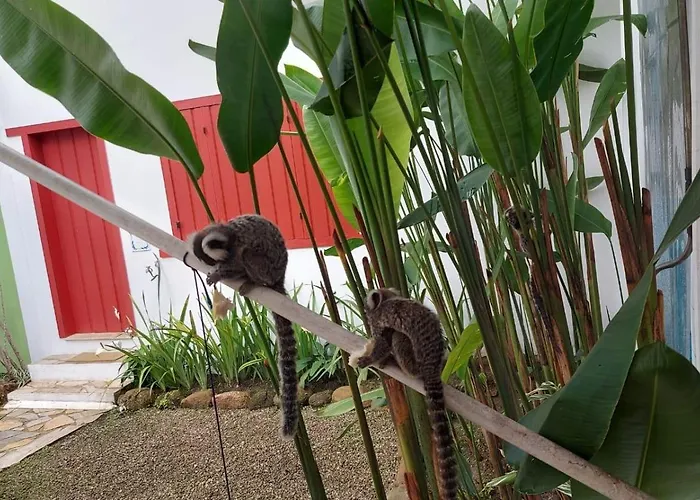 Quinta Brasilis Boutique Hotel Paraty