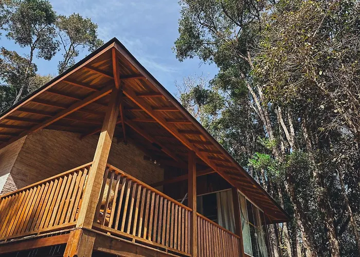 Chalés pinha pinhão Monte Verde 