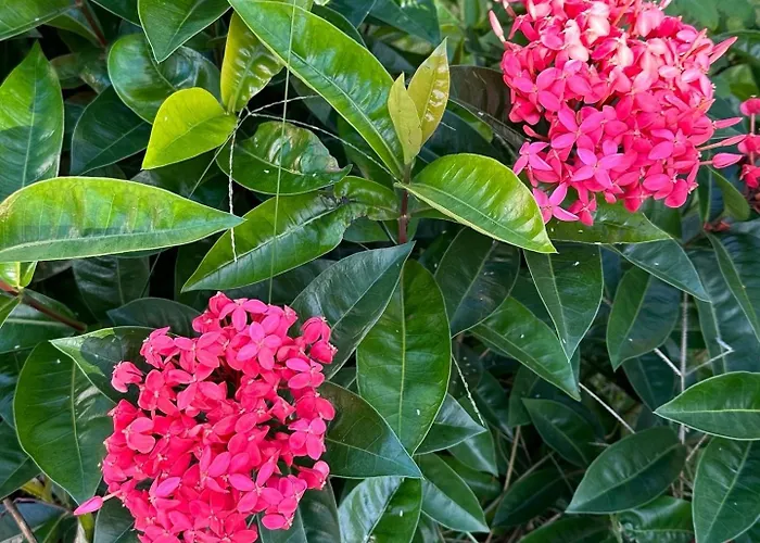 Casa Em Porto - Casa Beija Flor Vila Porto Seguro