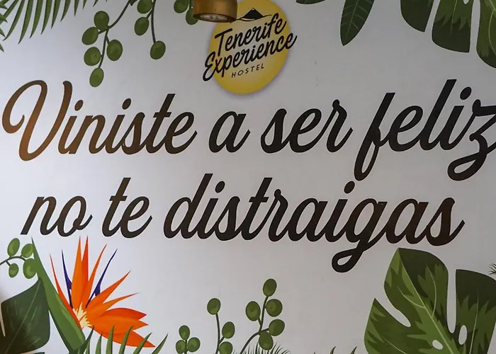 Tenerife Experience Hostel Santa Cruz de Tenerife