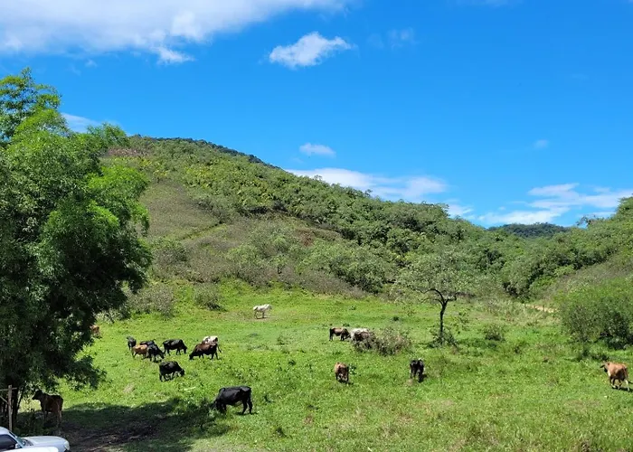 Pousada Camping dos Ypês Guapimirim