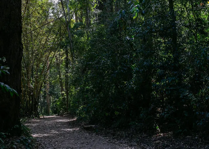 Pousada Vale das Águas Águas de São Pedro