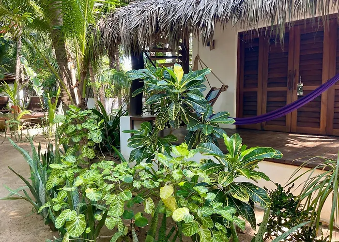 Hotel Descalzo Spa Zipolite
