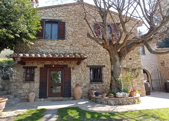 B&B All'Ombra di San Damiano Assisi