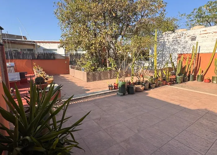 Villa La Casa del Arbol Townhouse Oaxaca