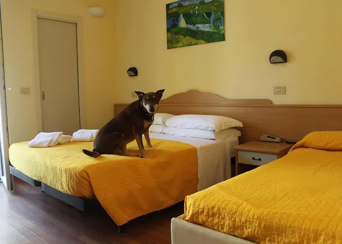 Pet Hotel Virginia - Hotel per cani Rimini