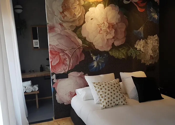13 Suites León