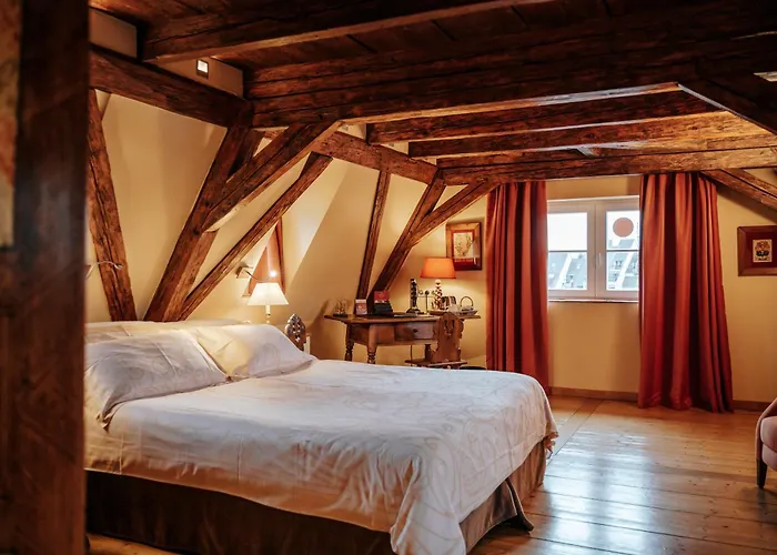 Hotel & Spa Le Bouclier D'Or Estrasburgo
