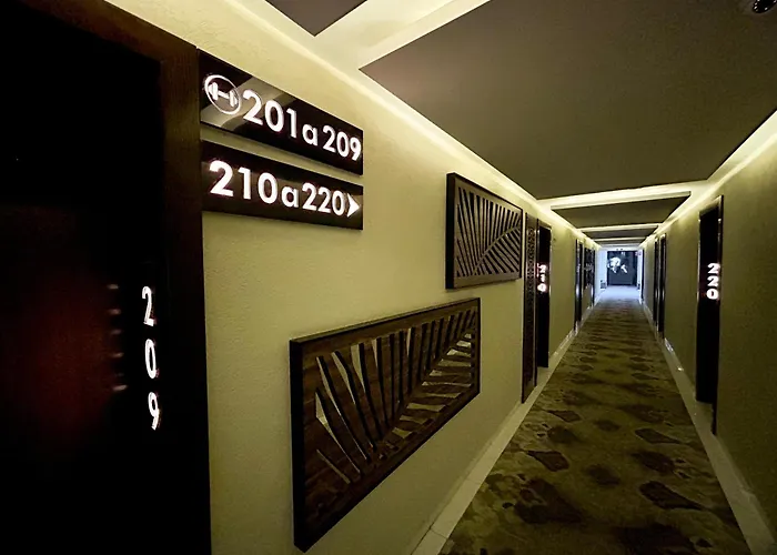 Hotel Dali Plaza Ejecutivo Guadalajara