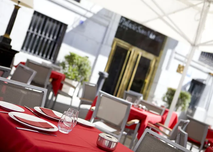 Intelier Palacio San Martin Madrid