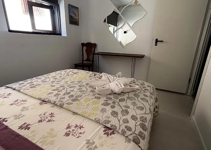 Tenerife Experience Hostel Santa Cruz de Tenerife