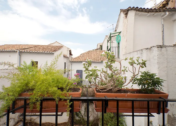 Oasis Backpackers' Hostel Granada