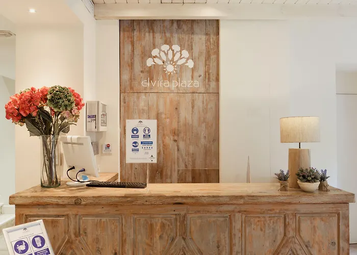 Hotel Boutique Elvira Plaza Siviglia