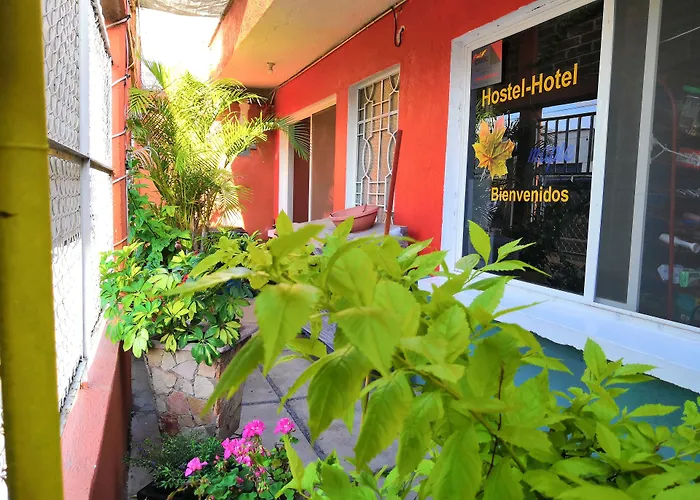 Hostal Maple Querétaro