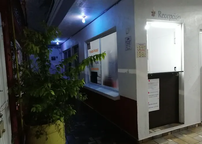 Hostal Maple Querétaro