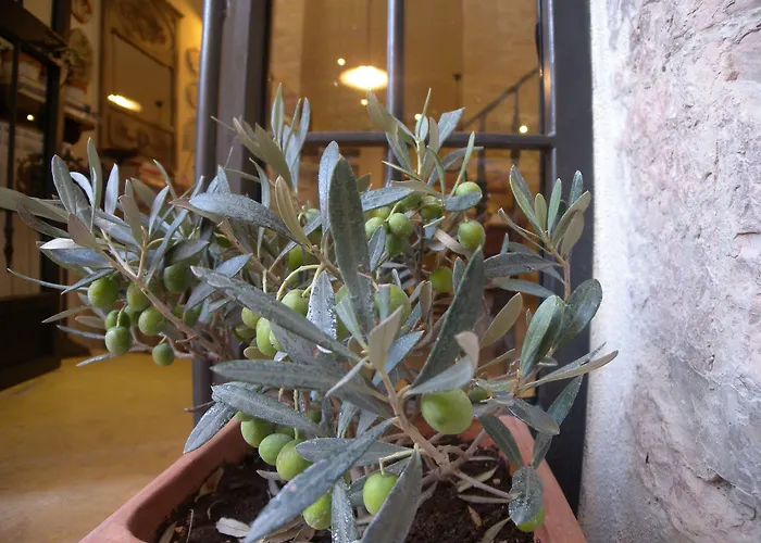 Bed&Breakfast A casa delle Fate Assisi