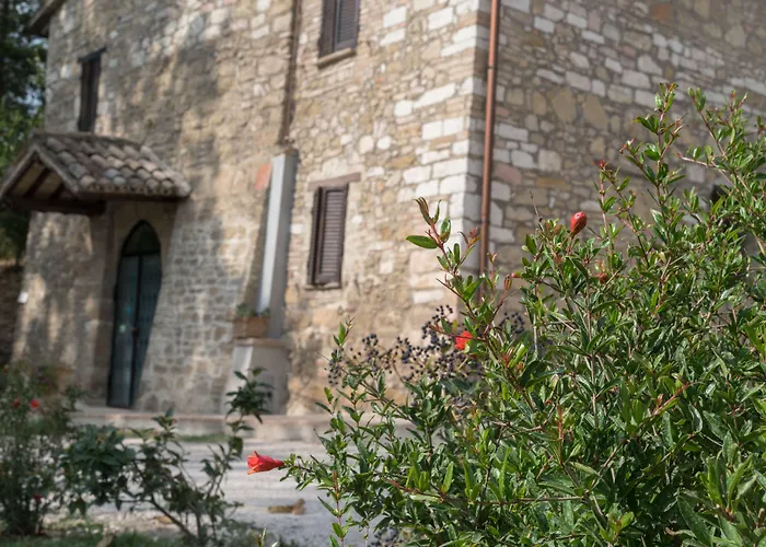 B&B Cantico Delle Creature Assisi